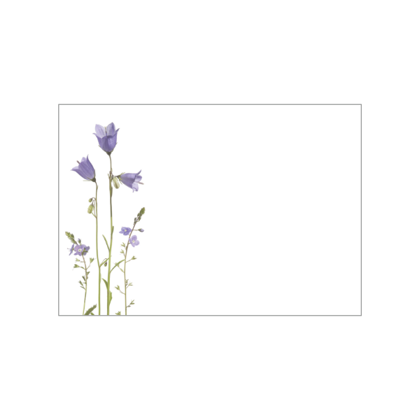 Zierliche Glockenblumen in Lila zieren diesen kleinen Notizblock