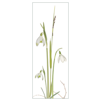 Lesezeichen mit Schneeglöckchen und zierendem Gras