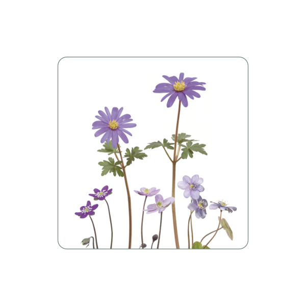 Magnet "Anemone"