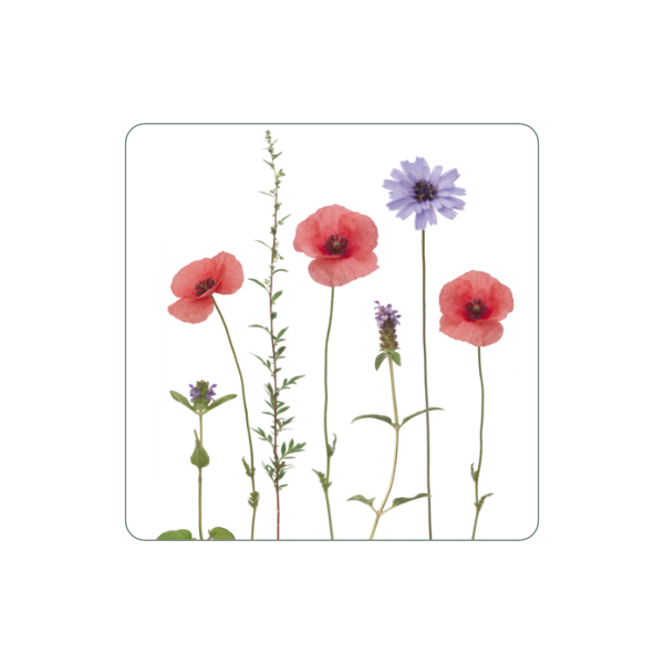 Magnet "Mohnwiese"