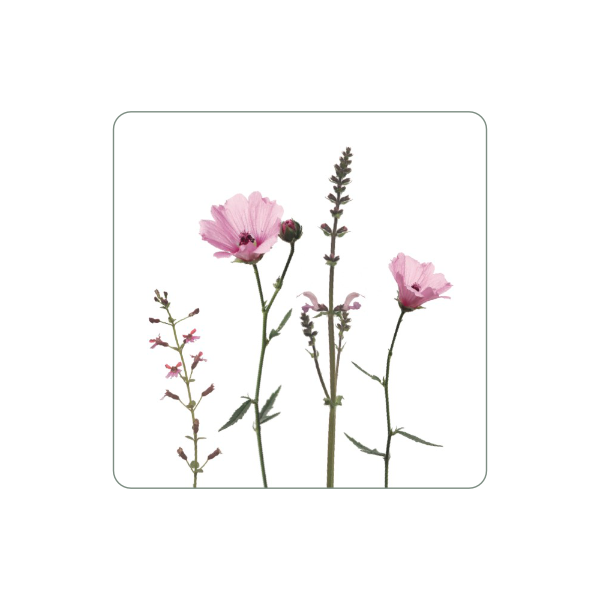 Magnet "Rosa Malve"
