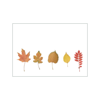 Zierende Blätterreihe in Herbstfarben