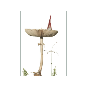 Wichtel auf Waldpilz